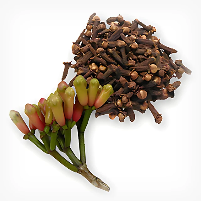 clove image